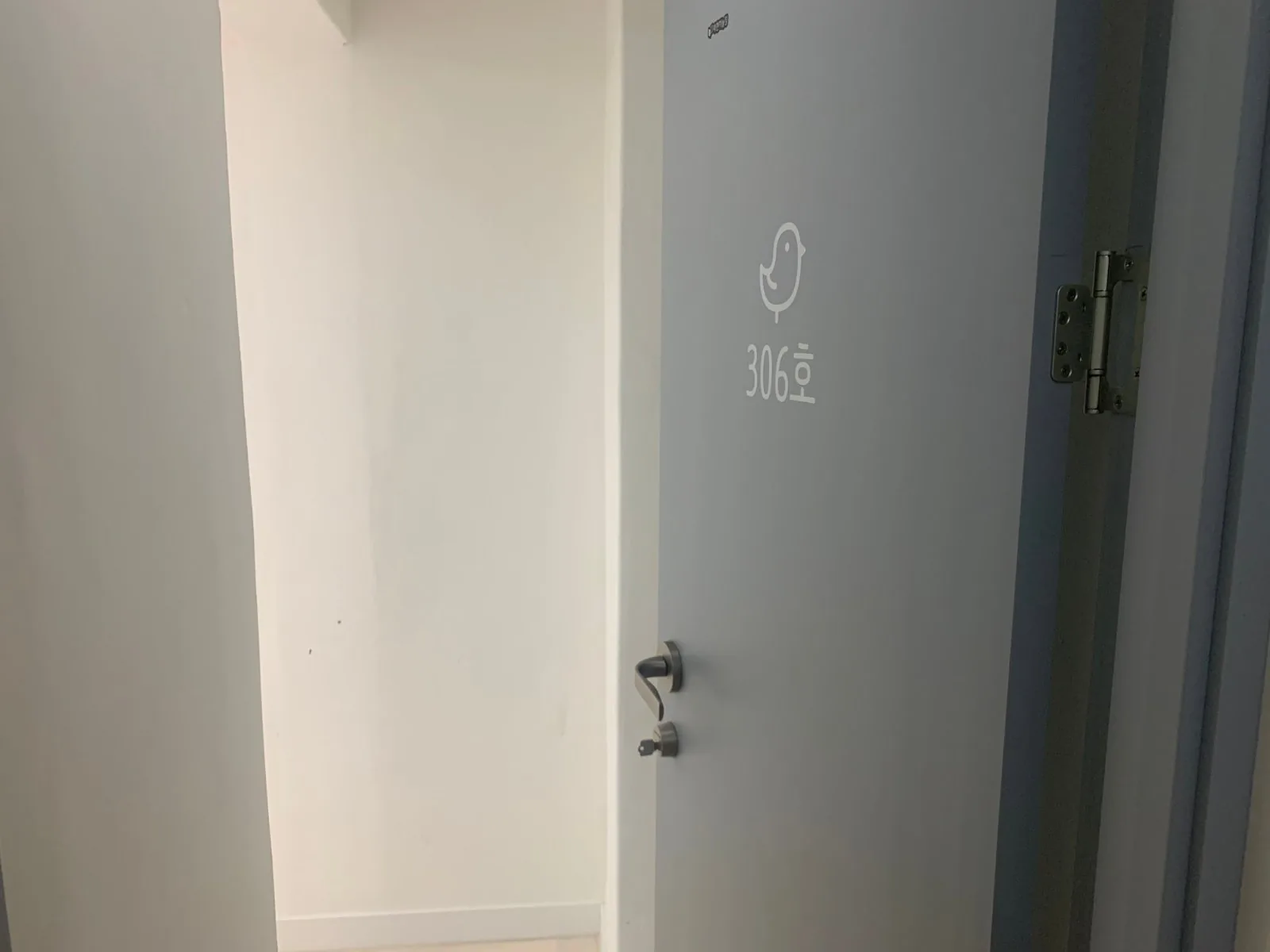 306호 5